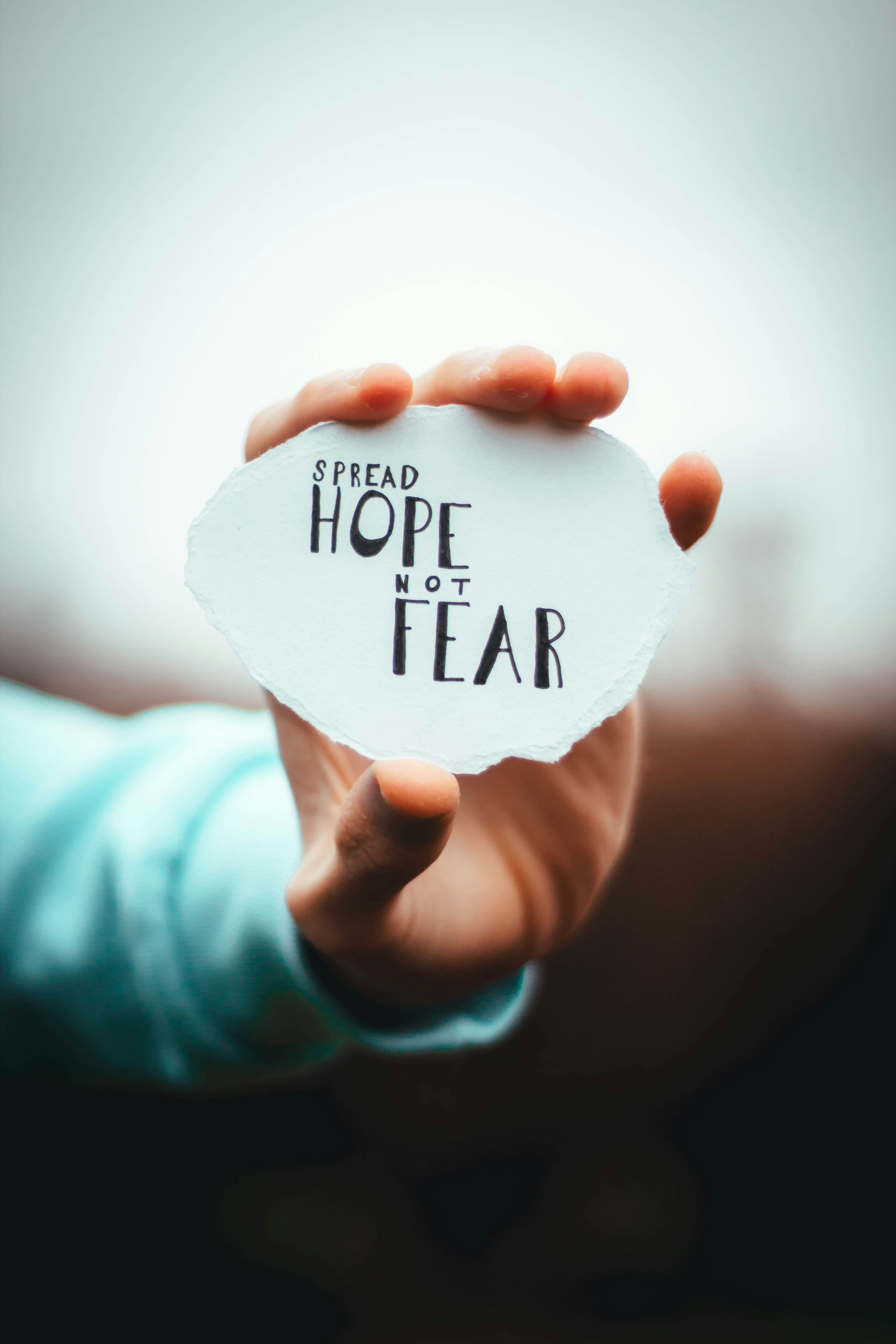 Donation Impact